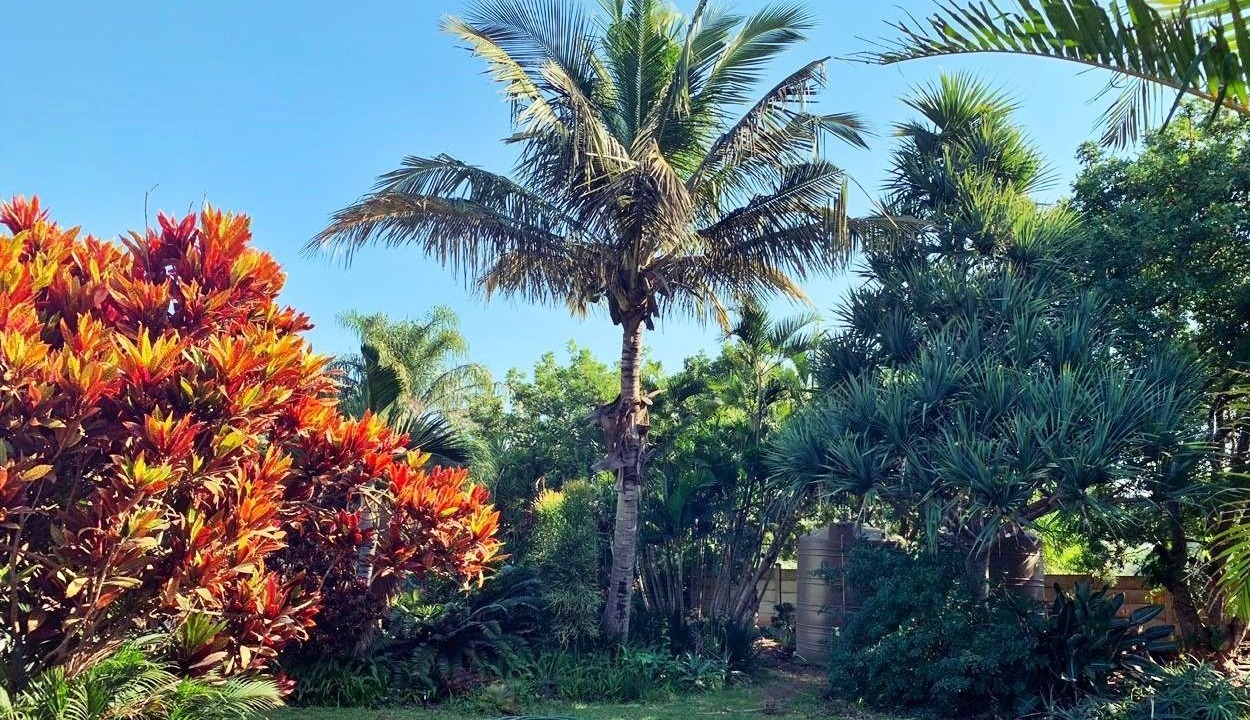 Photo of Outdoor in Hluhluwe