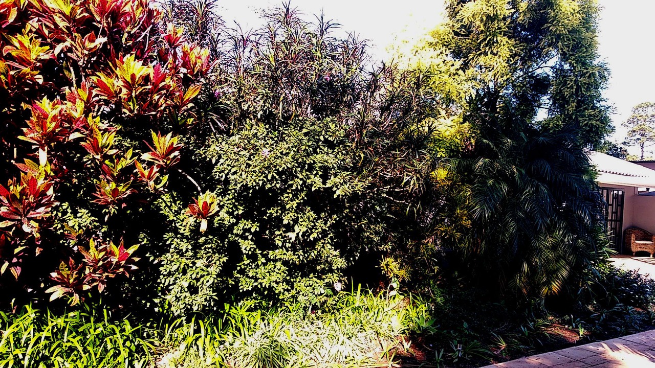 Photo of Outdoor in Hluhluwe
