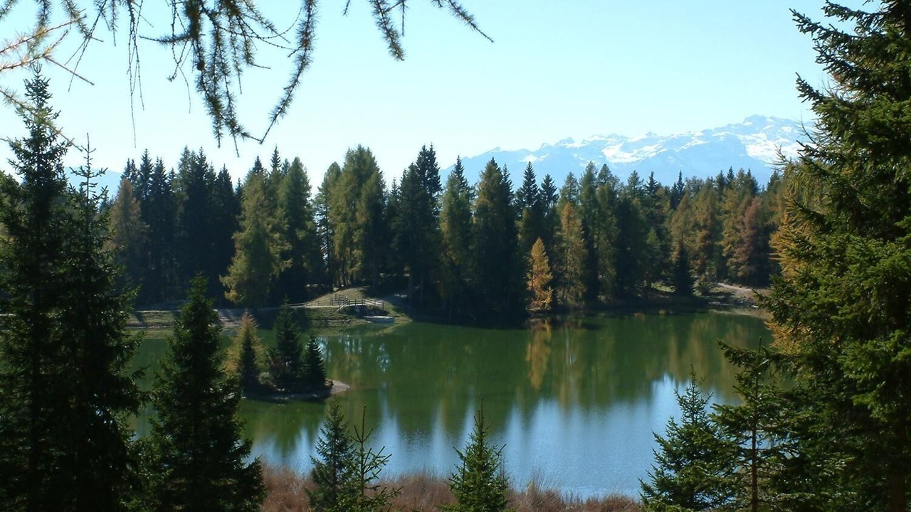 Photo of Outdoor in Senale San Felice