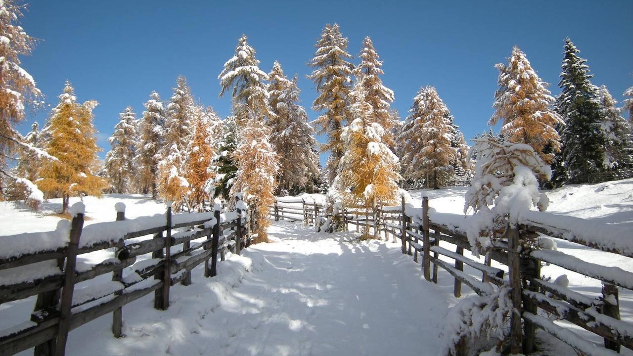 Photo of Outdoor in Senale San Felice