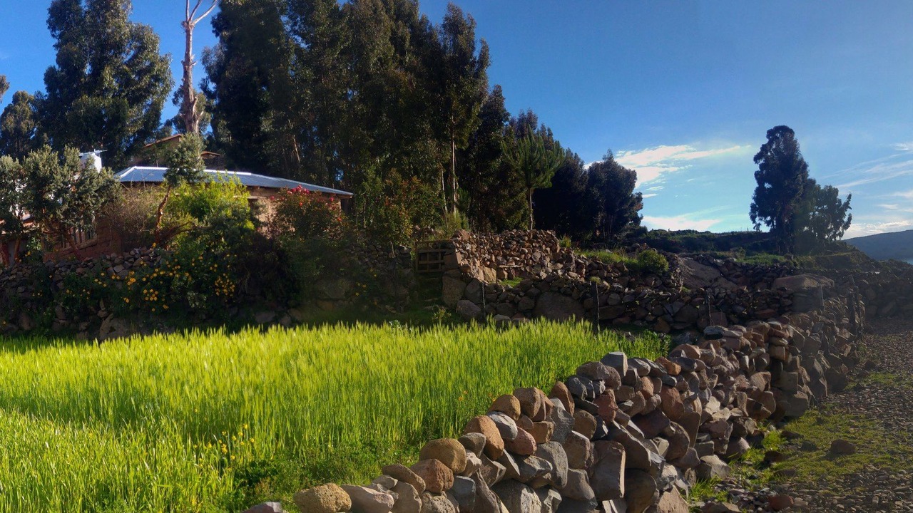 Photo of Outdoor in Isla Amantani