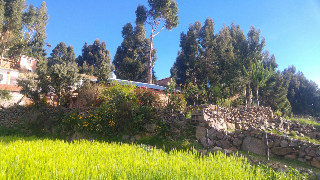 Photo of Outdoor in Isla Amantani