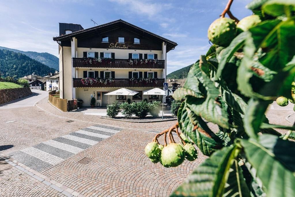 Photo of Outdoor in Trodena