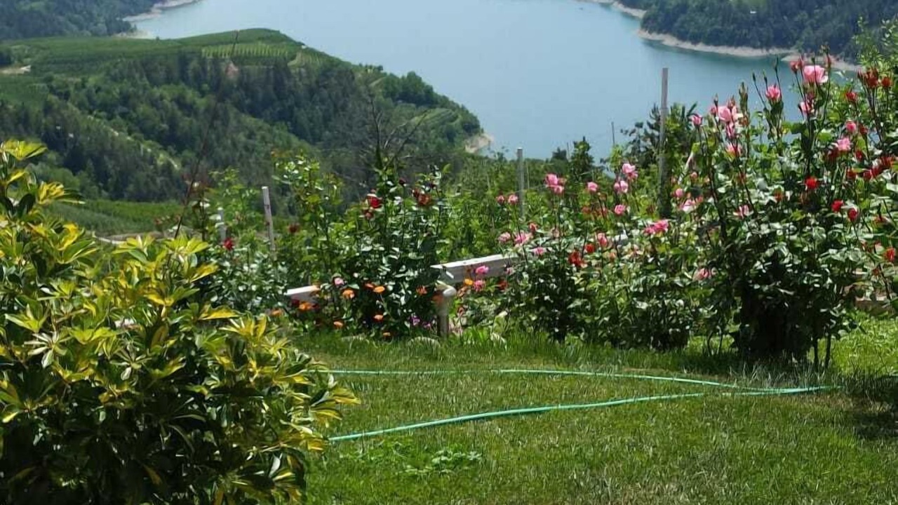 Photo of Outdoor in Cagno