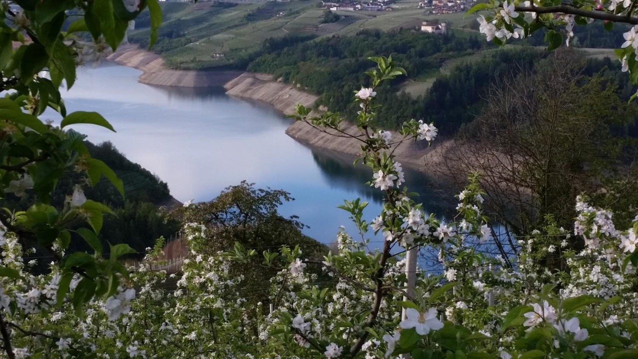 Photo of Outdoor in Cagno