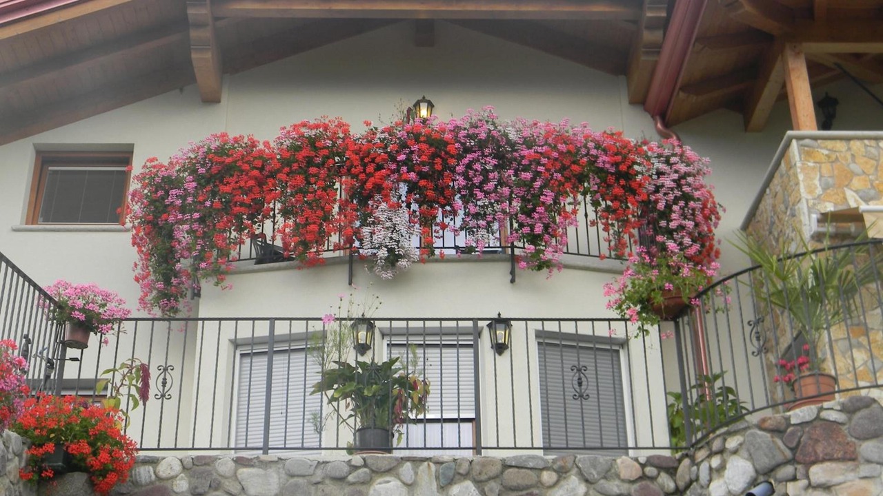 Photo of Outdoor in Cagno
