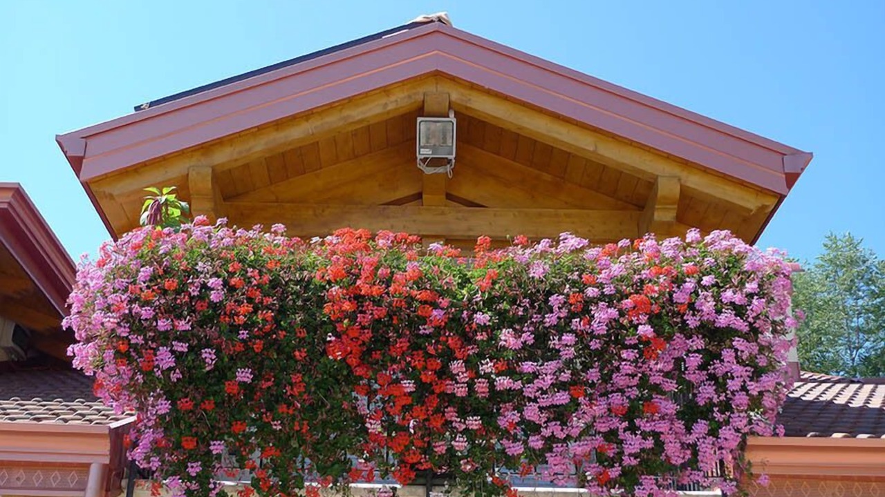 Photo of Outdoor in Cagno