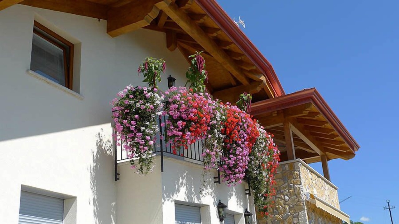 Photo of Outdoor in Cagno