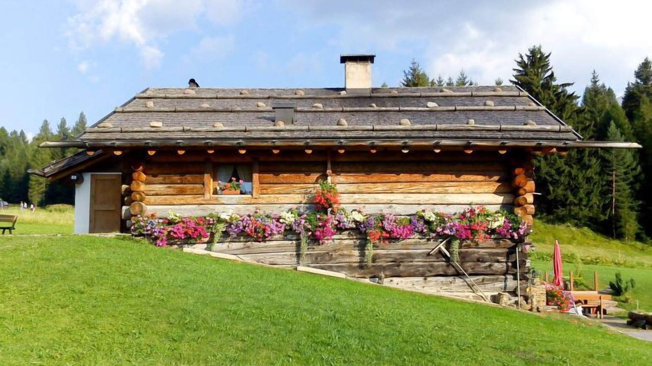 Photo of Outdoor in Bellamonte