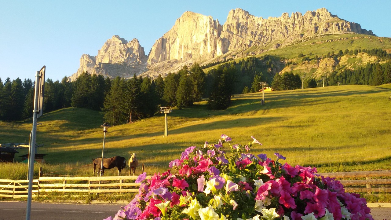 Photo of Outdoor in Carezza