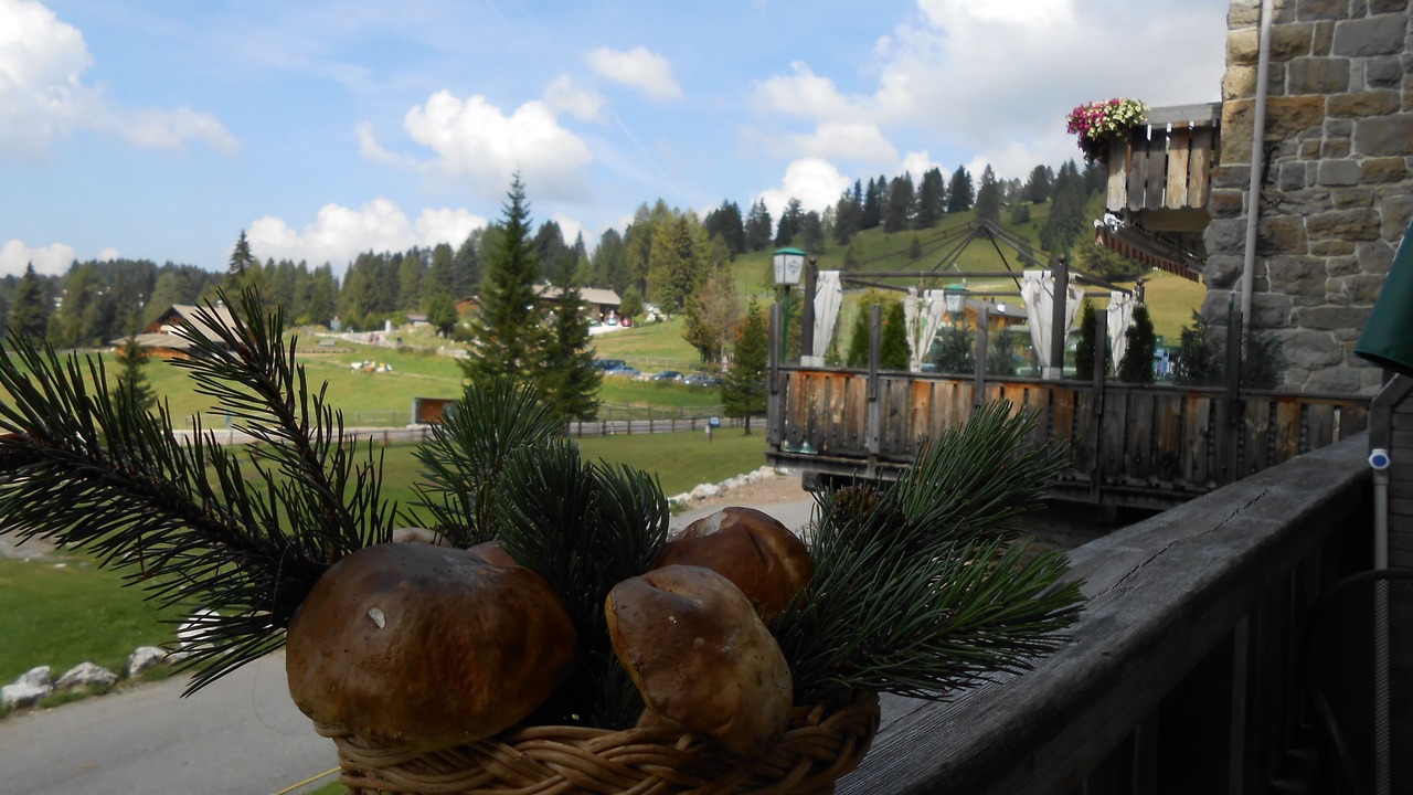 Photo of Outdoor in Carezza