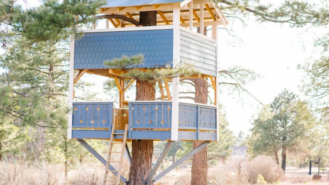 Photo of Outdoor in Parks