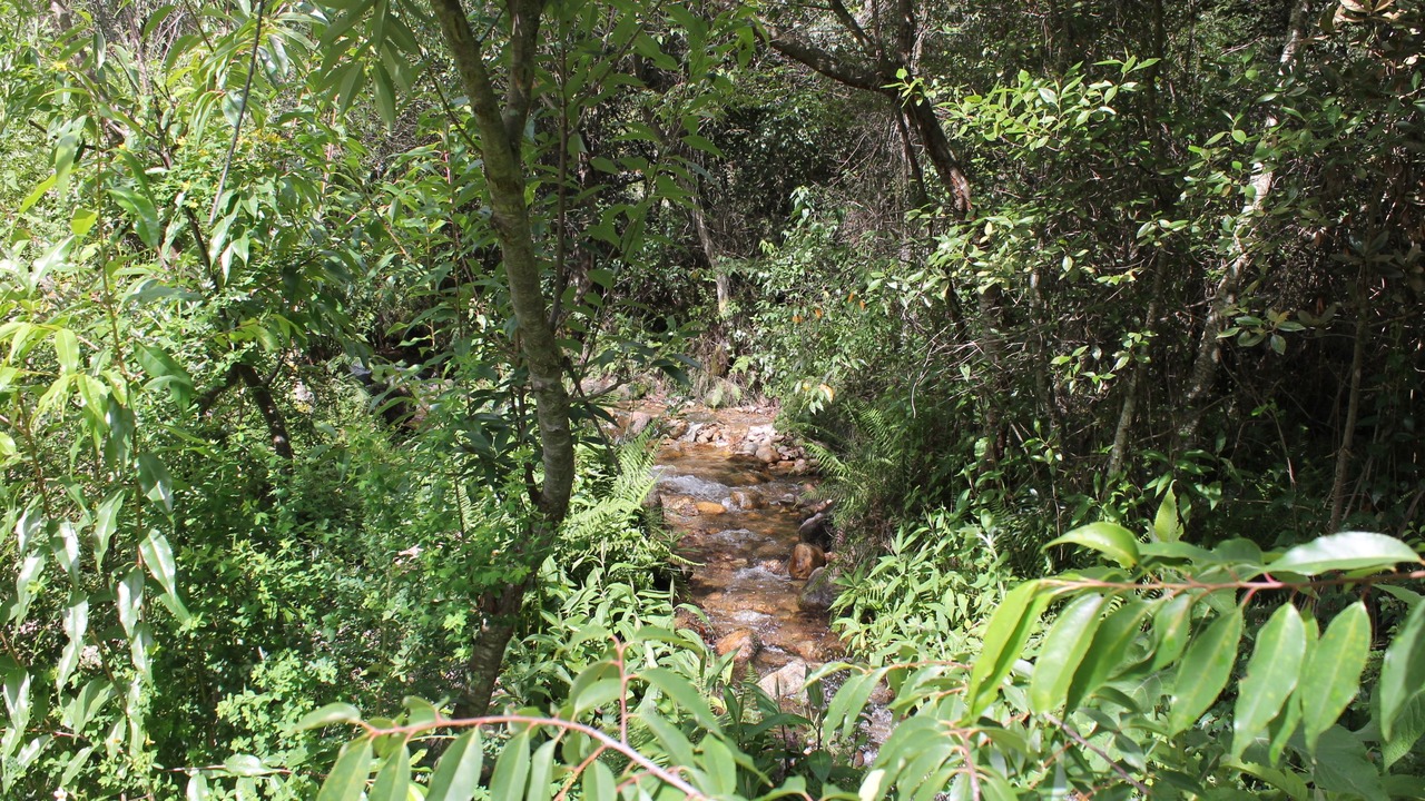 Photo of Outdoor in Urubamba