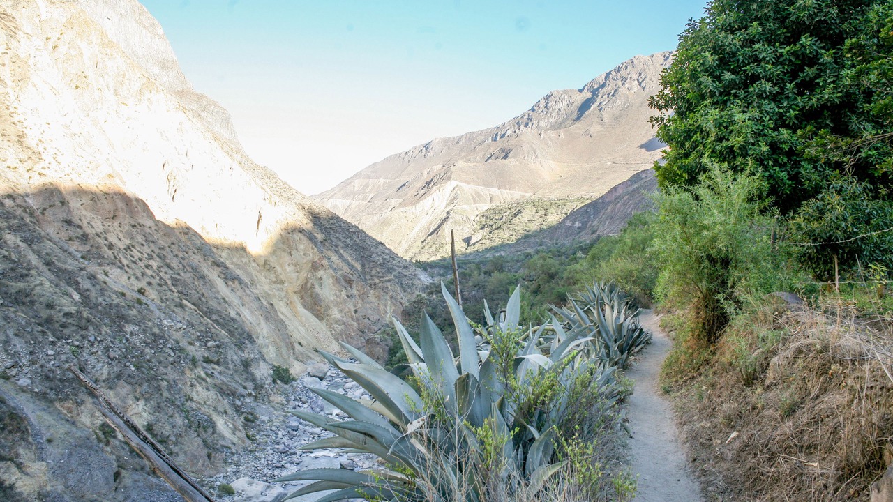 Photo of Outdoor in San Juan de Chuccho