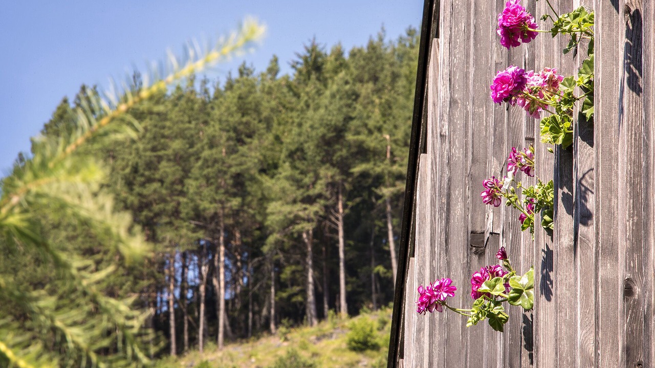 Photo of Outdoor in Tesero