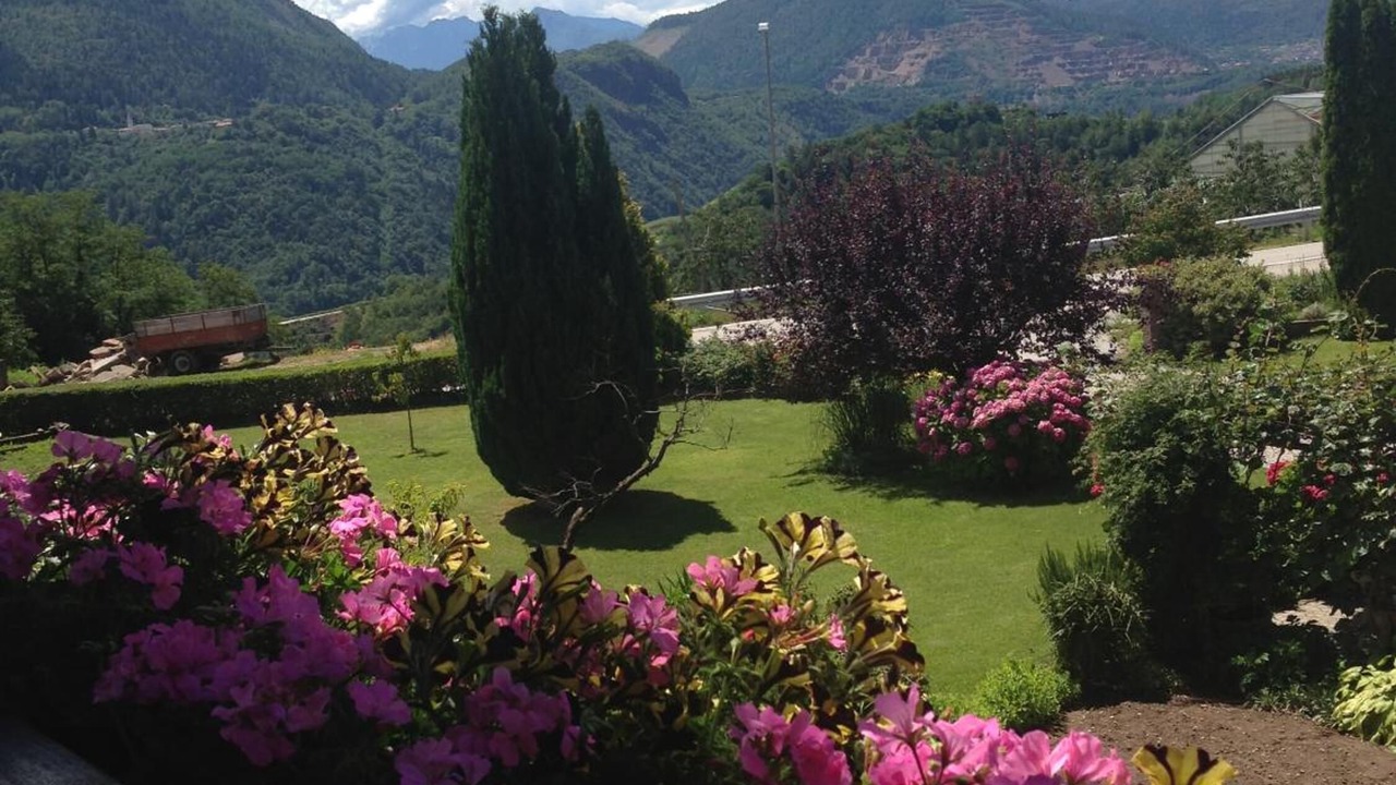 Photo of Outdoor in Faver