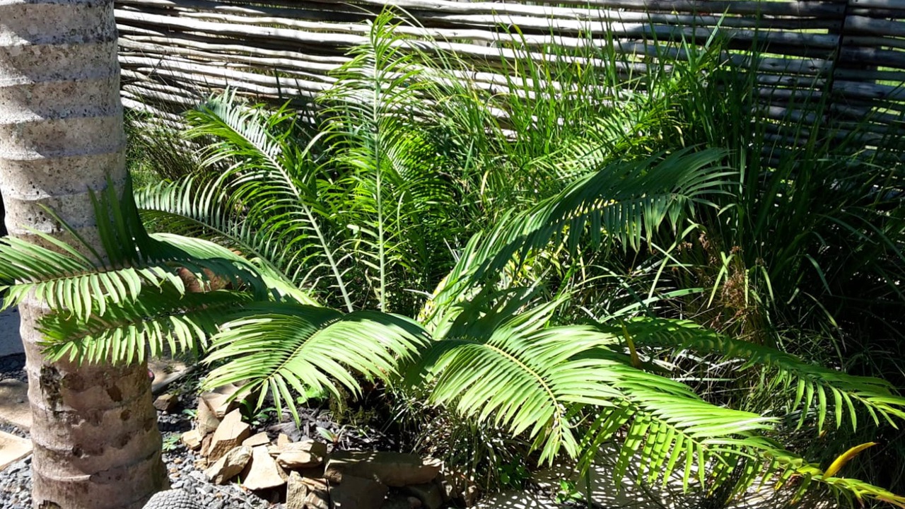 Photo of Outdoor in La Mercy