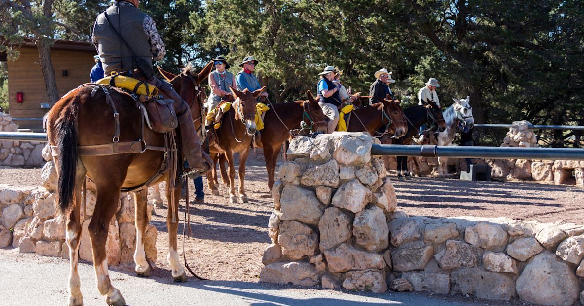 Photo of Others in Grand Canyon Village
