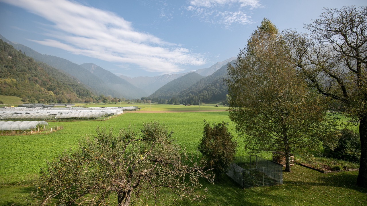 Photo of Outdoor in Lenzumo