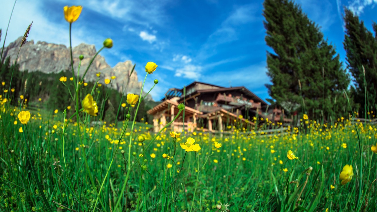 Photo of Outdoor in Armentarola