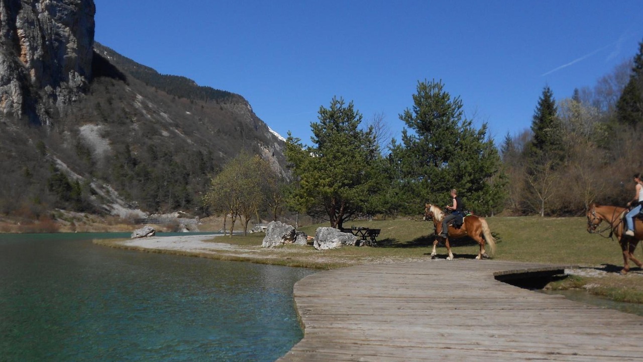 Photo of Others in Nembia
