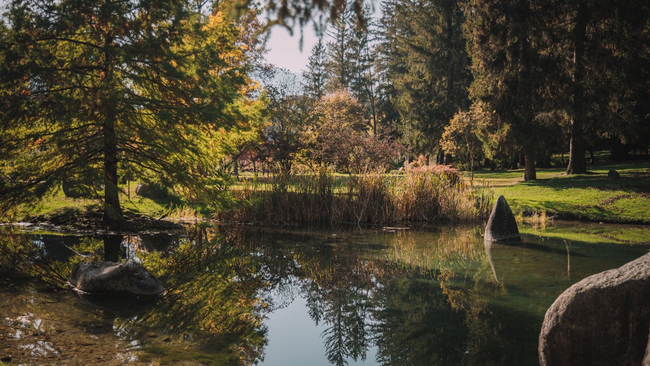 Photo of Outdoor in Ranzo