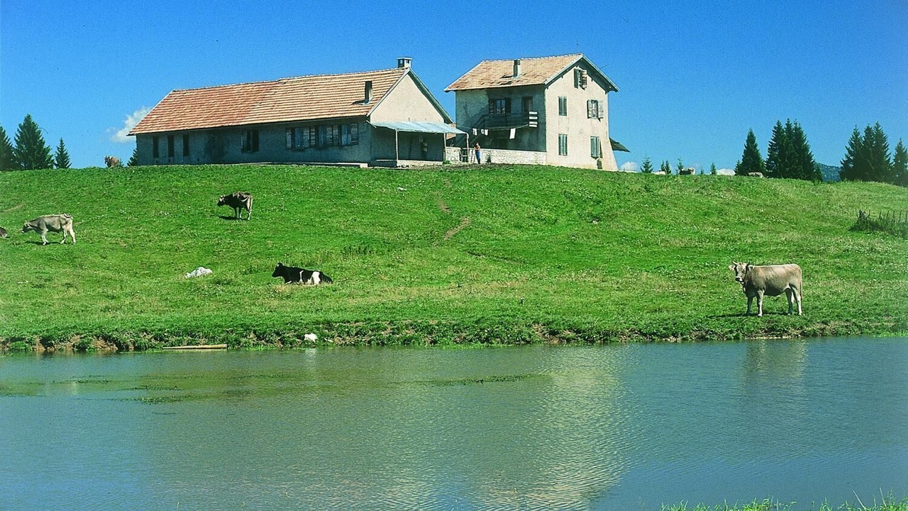 Photo of Outdoor in Folgaria