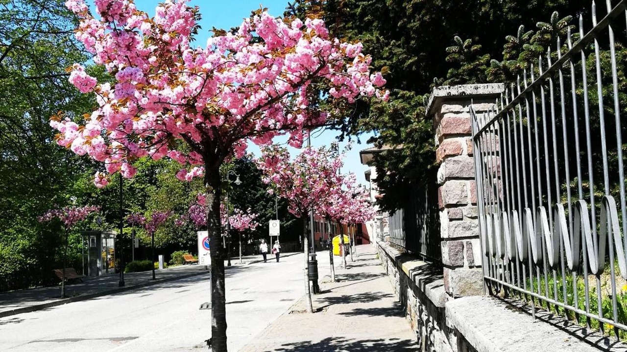 Photo of Outdoor in Levico Terme