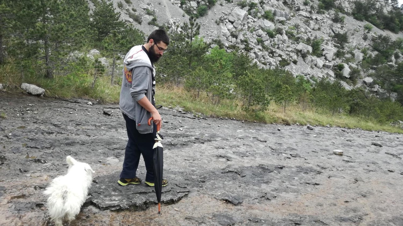 Photo of Others in Levico Terme