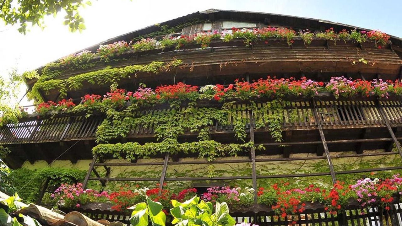Photo of Outdoor in Mattarello
