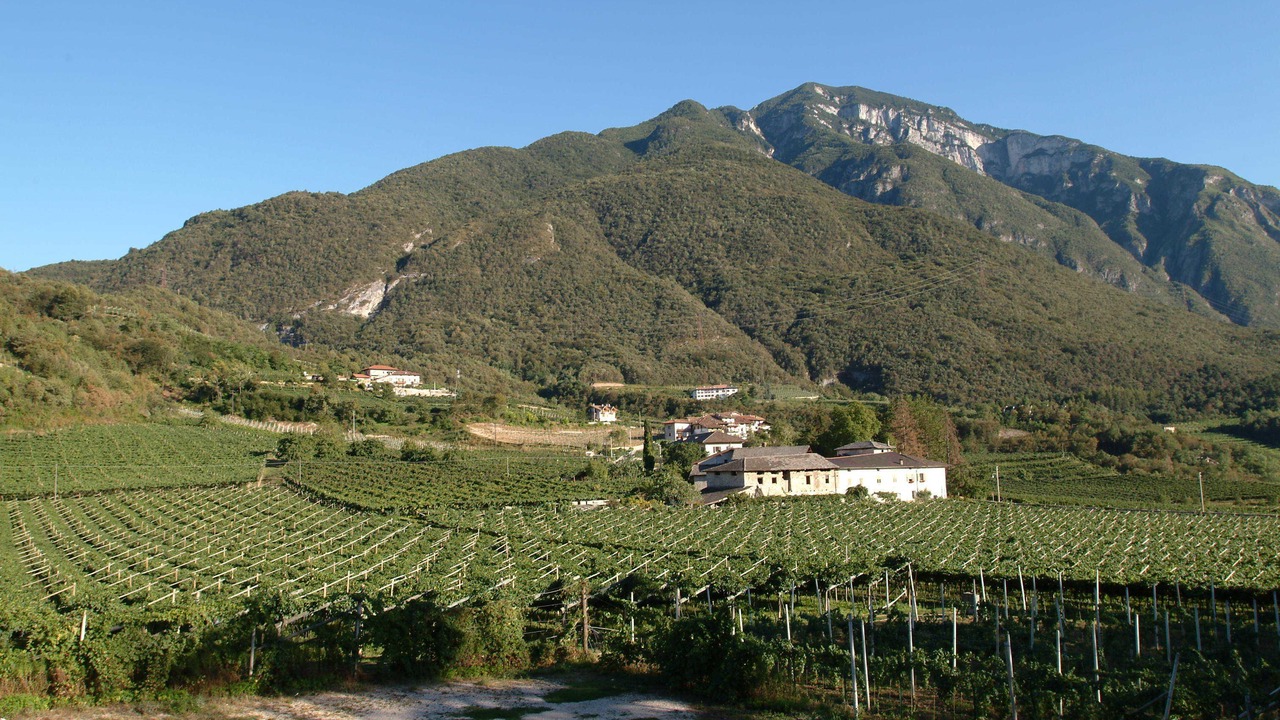 Photo of Outdoor in Mattarello