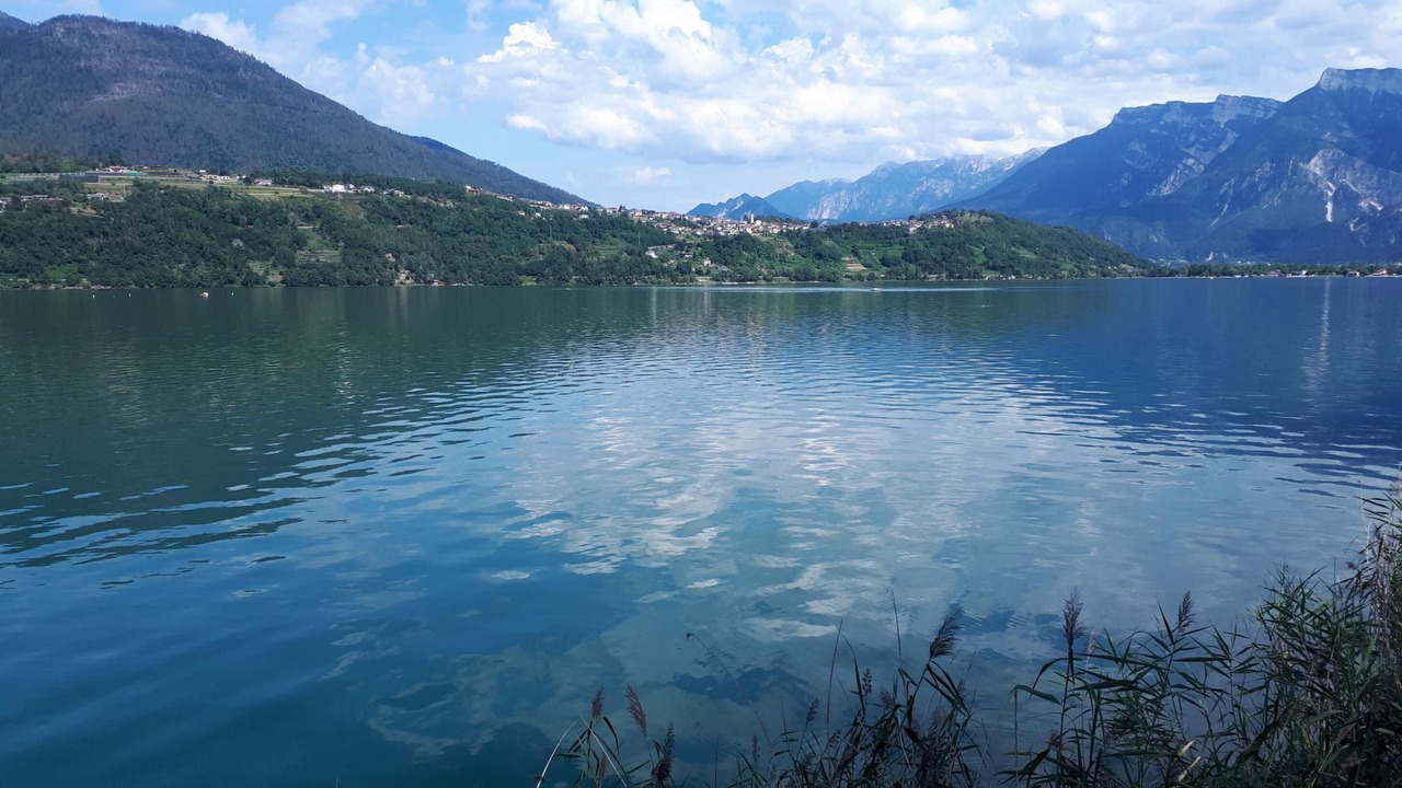 Photo of Outdoor in Barco