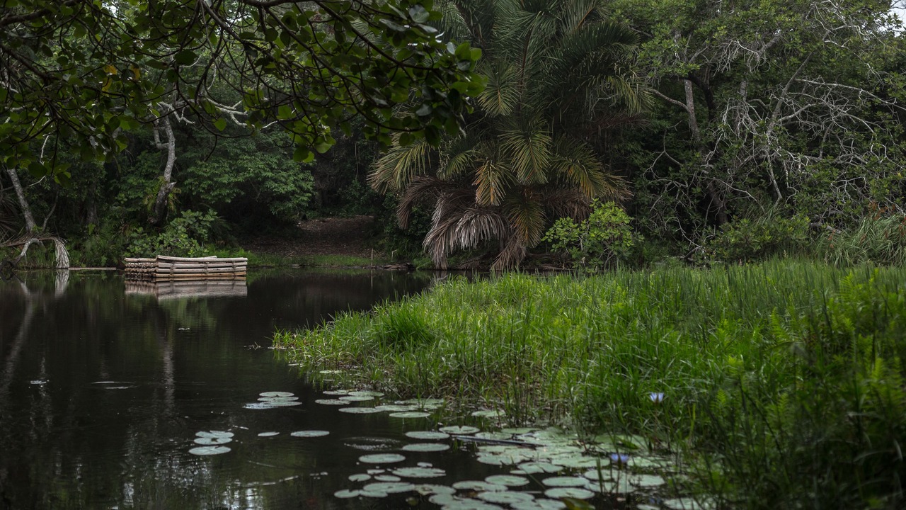 Photo of Outdoor in Manguzi
