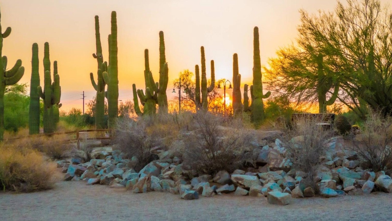 Photo of Others in Gilbert
