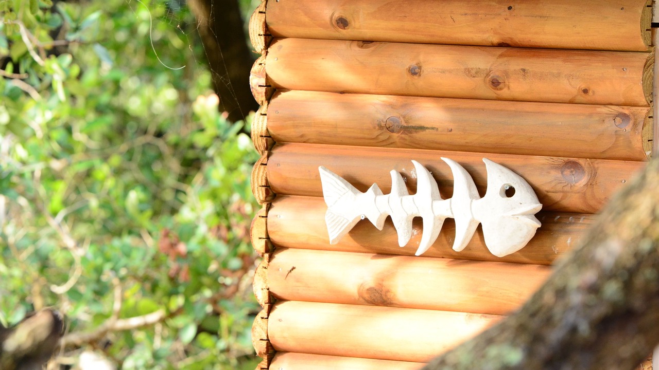 Photo of Outdoor in Manguzi