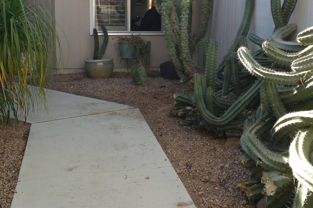 Photo of Outdoor in Sun City