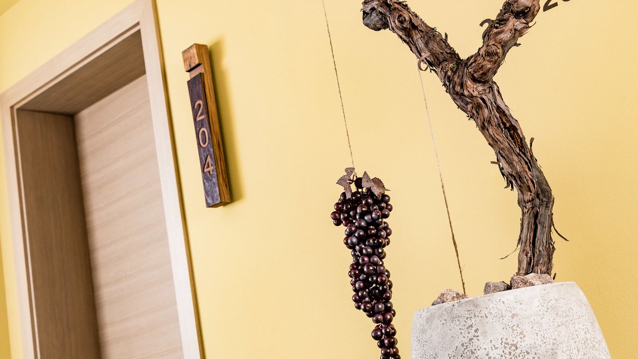 Photo of Others in Termeno Sulla Strada del Vino