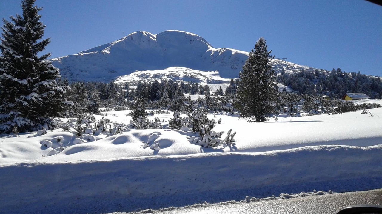 Photo of Others in Castello-Molina di Fiemme