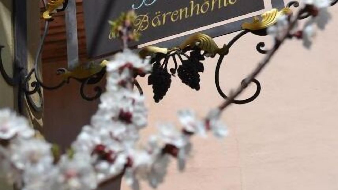 Photo of Outdoor in Castello-Molina di Fiemme
