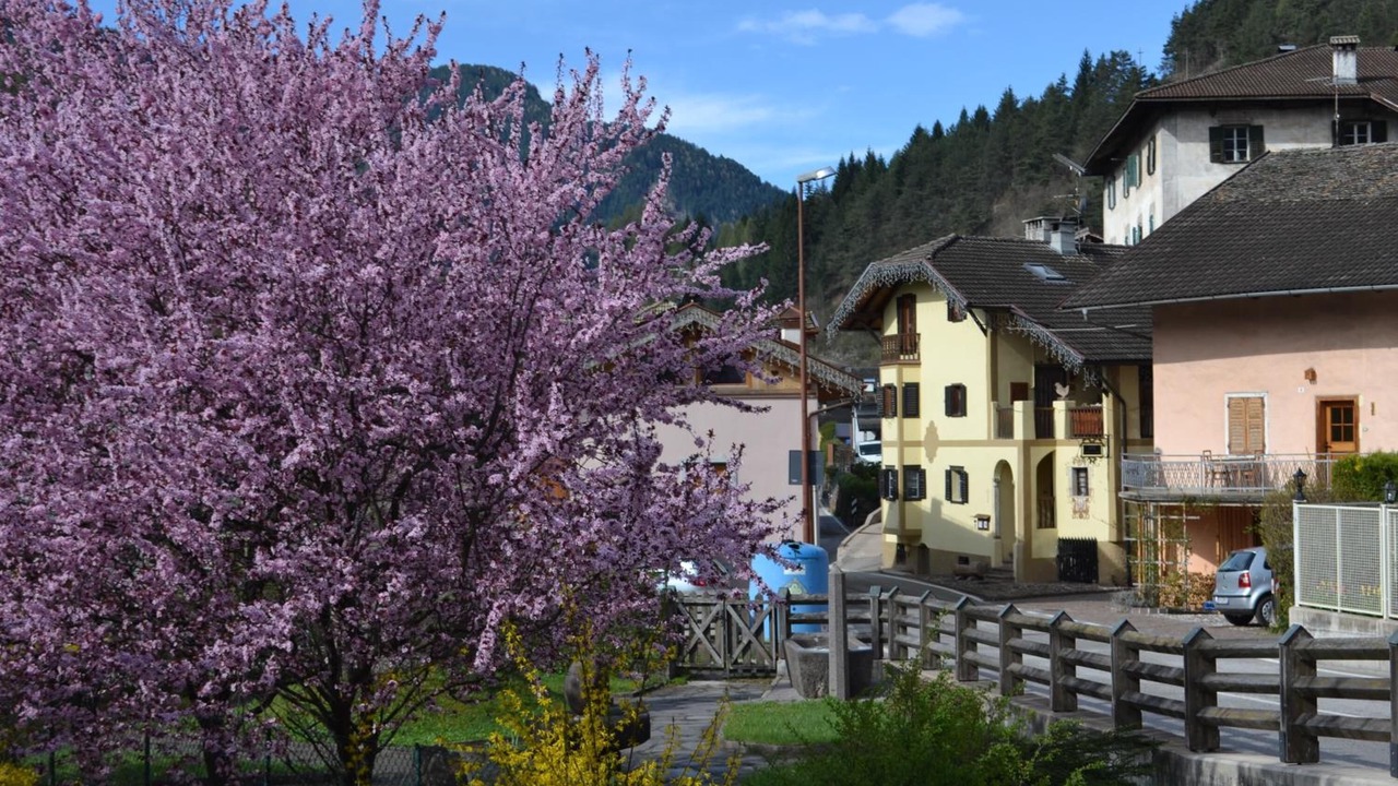 Photo of Outdoor in Castello-Molina di Fiemme