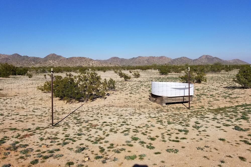 Photo of Others in Maricopa