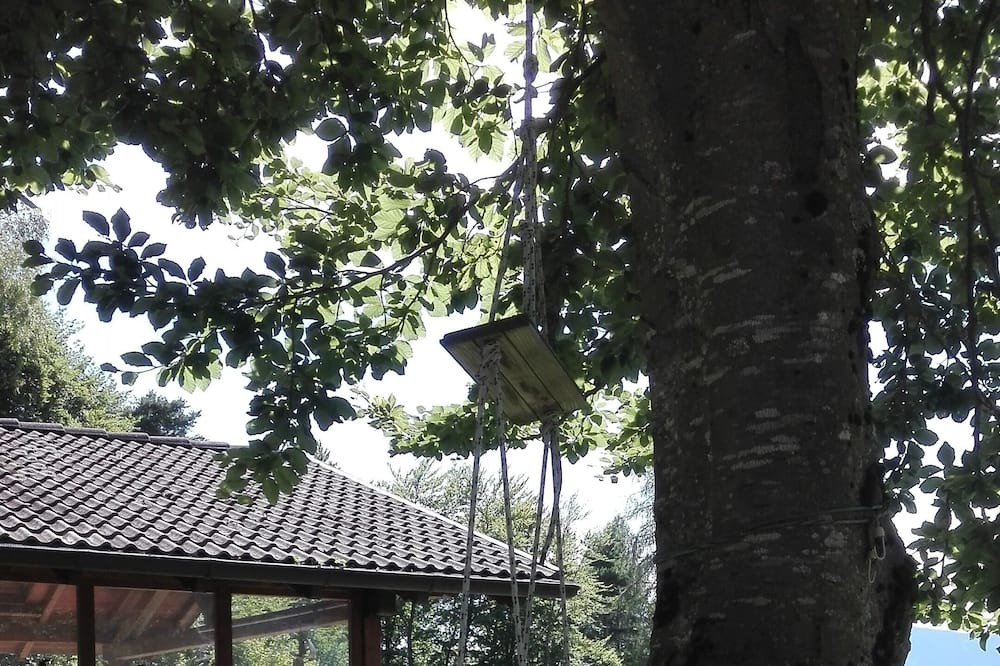 Photo of Outdoor in Lasino