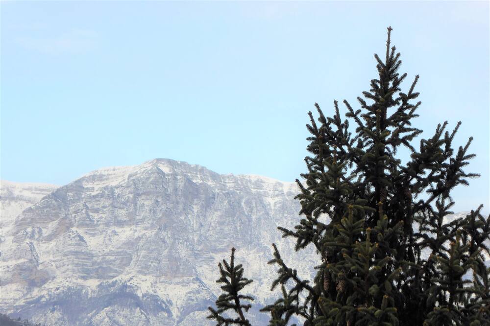 Photo of Others in Trento