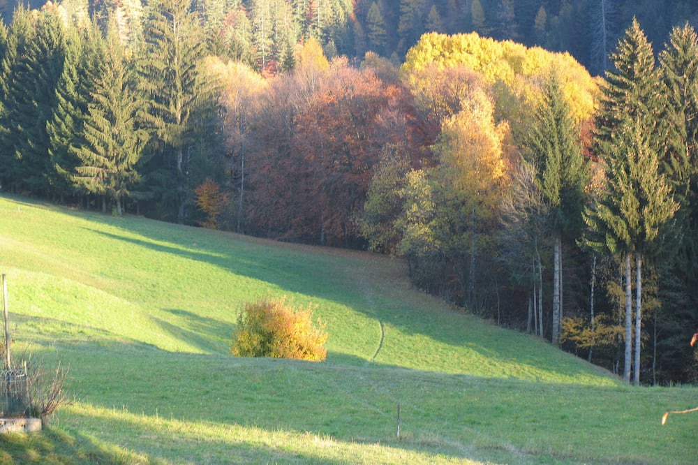 Photo of Outdoor in Sant'Antonio di Mavignola