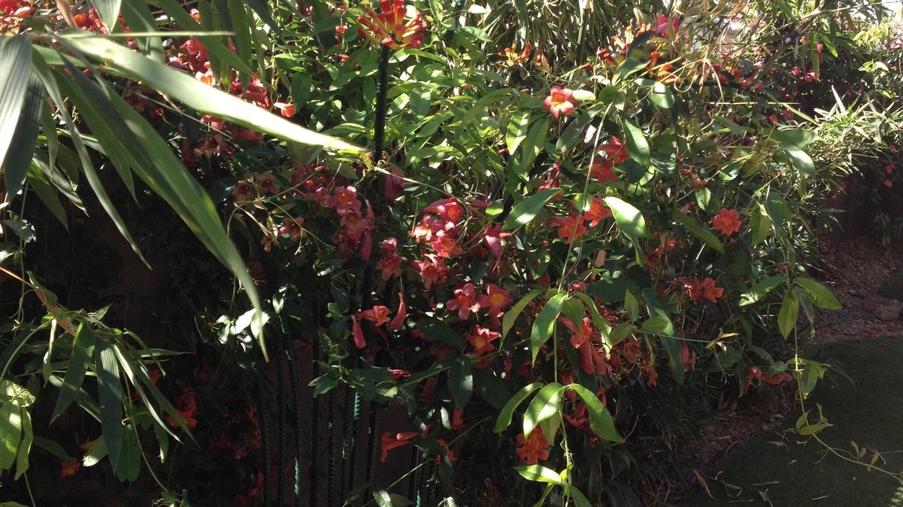 Photo of Outdoor in Deer Valley