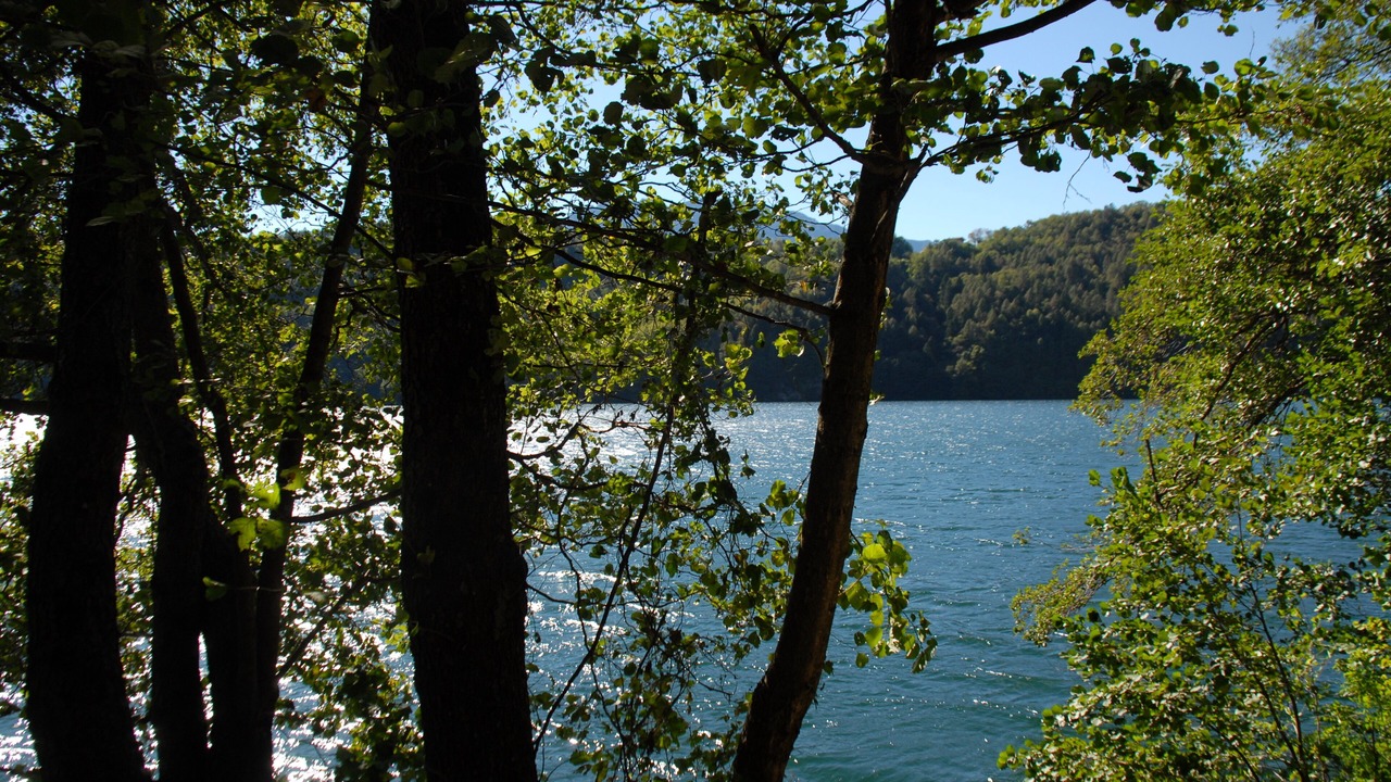 Photo of Outdoor in Barco