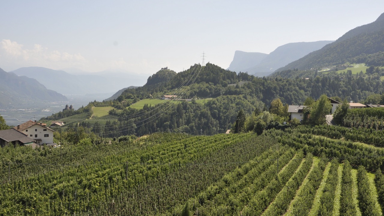 Photo of Outdoor in Foiana