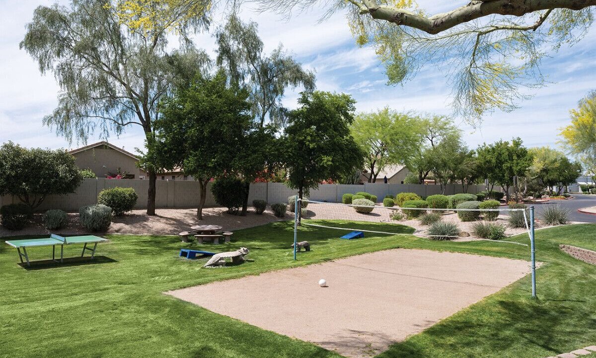 Photo of Others in Desert Ridge