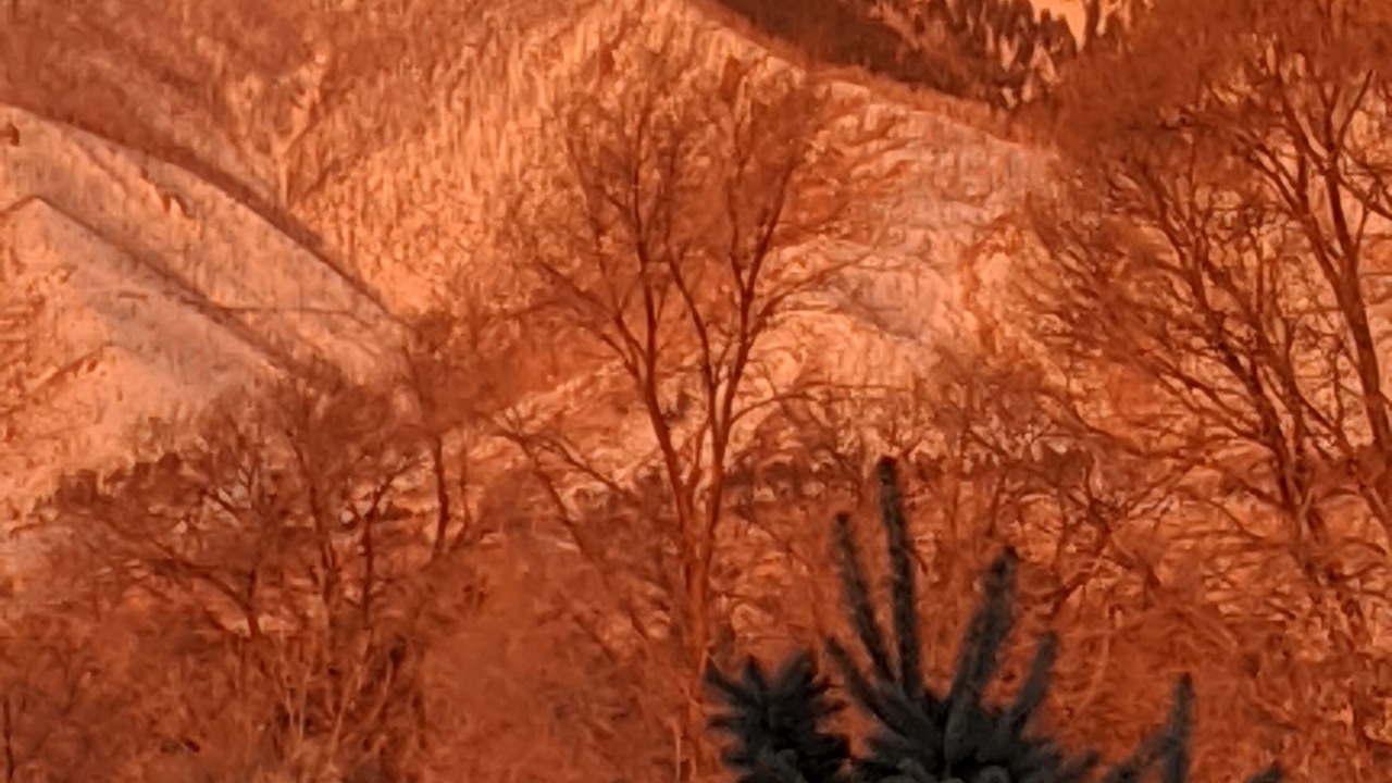 Photo of Others in Flagstaff