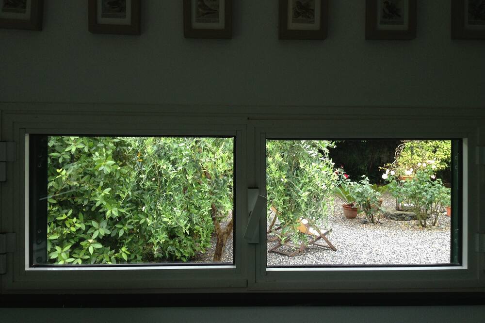 Photo of Others in Cinque Terre